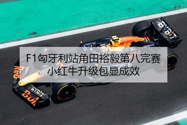 xiong-ya-li-zhan-jiao-tian-yu-yi-di-ba-wan-sai-xiao-hong-niu-sheng-ji-bao-xian-cheng-xiao-3-439.jpg