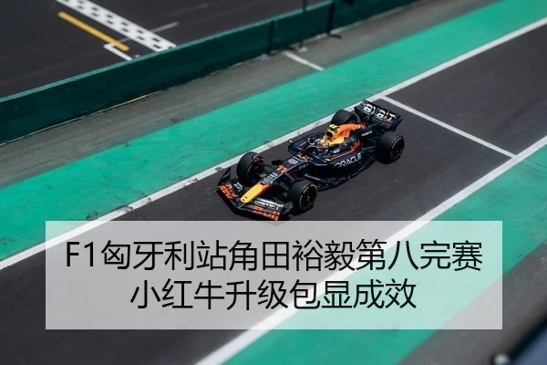 F1匈牙利站角田裕毅第八完赛 小红牛升级包显成效